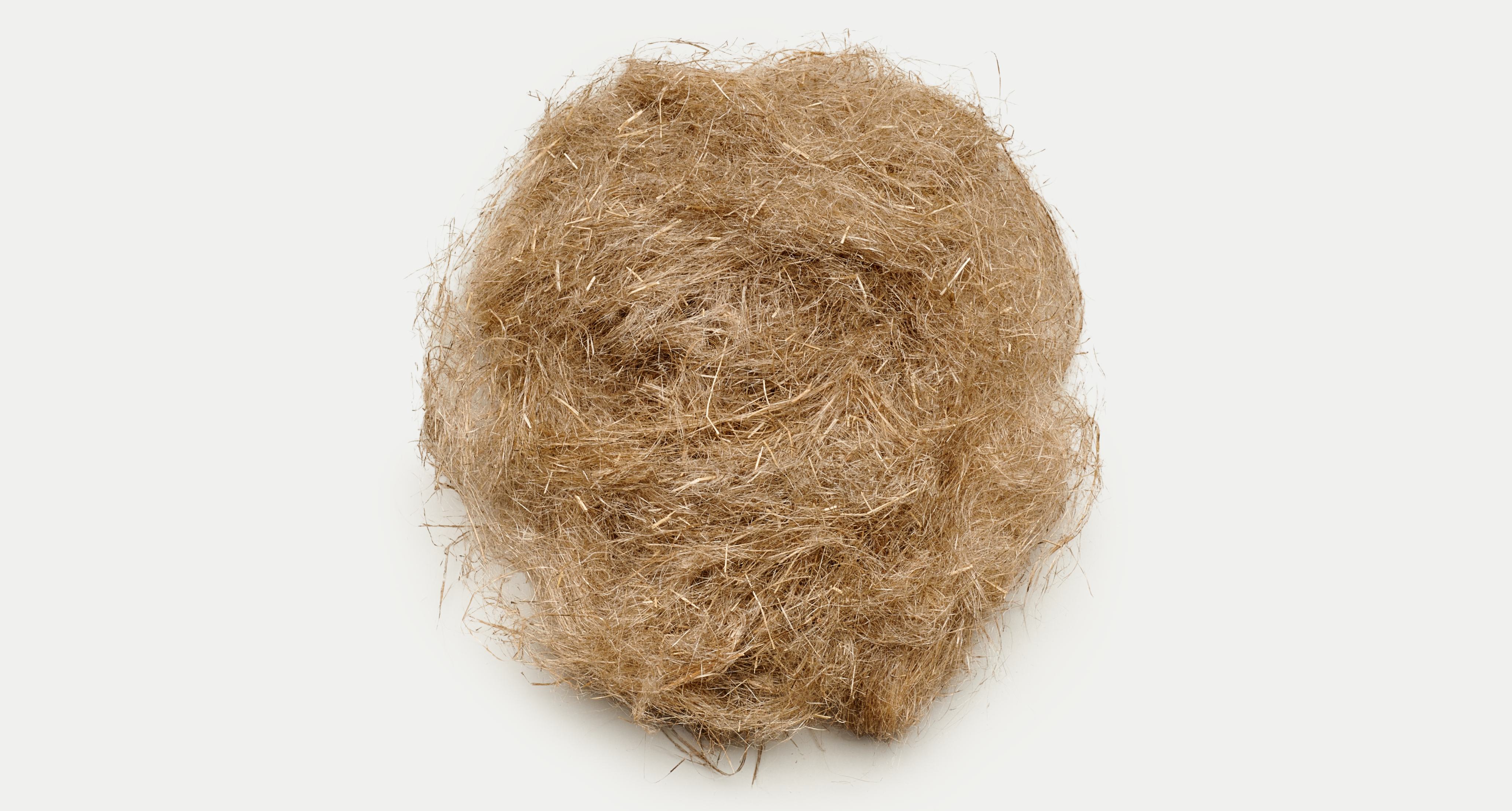 Bundle of raw flax fibre